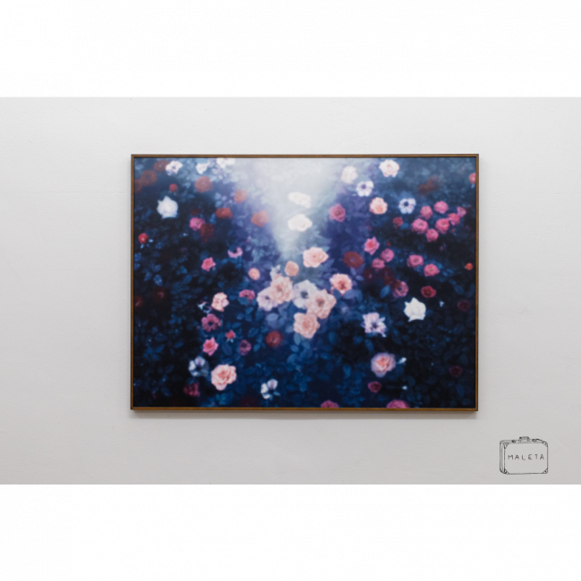 QUADRO ROSAS OFUSCADAS - 65X89