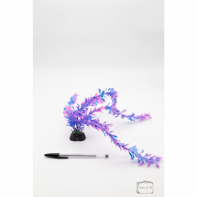 ALGA PARA DECORAR AQUÁRIO AZUL COM ROSA