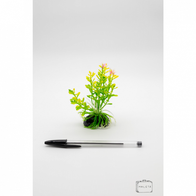 ALGA PARA DECORAR AQUÁRIO VERDE COM AMARELO