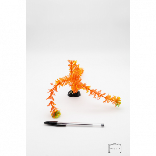 ALGA PARA DECORAR AQUÁRIO LARANJA COM AMARELO