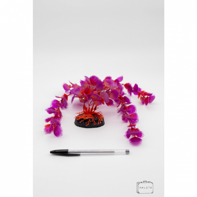 ALGA PARA DECORAR AQUÁRIO ROSA COM VERMELHO