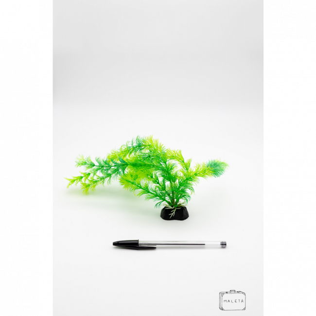 ALGA PARA DECORAR AQUÁRIO VERDE