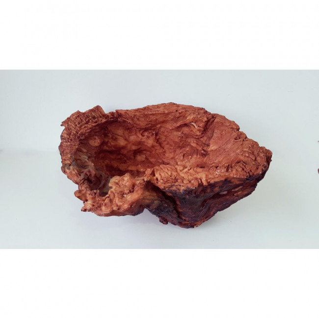 Tronco Oco para Doces Mod1