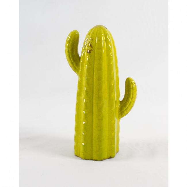 CACTO LOUÇA