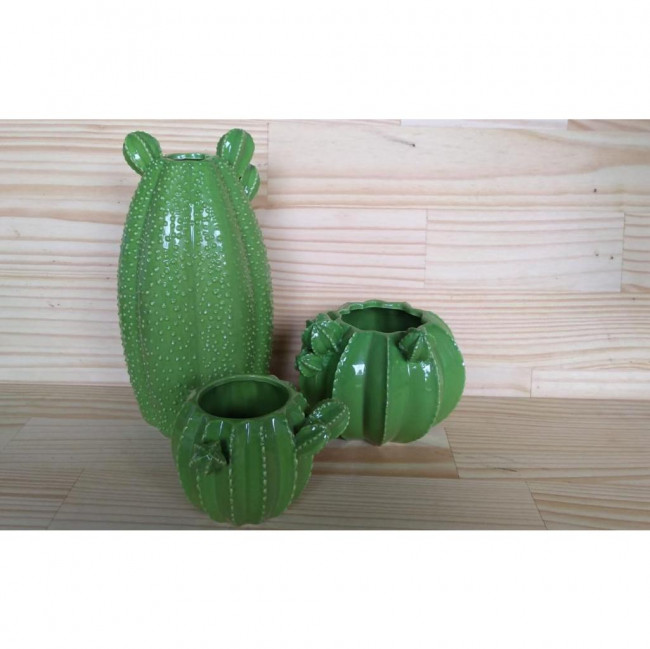CACTO. 9 CM