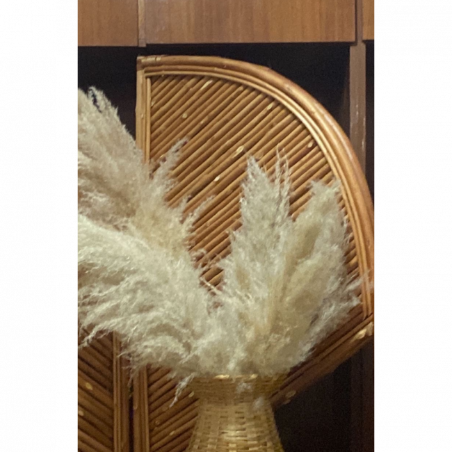 PAMPAS