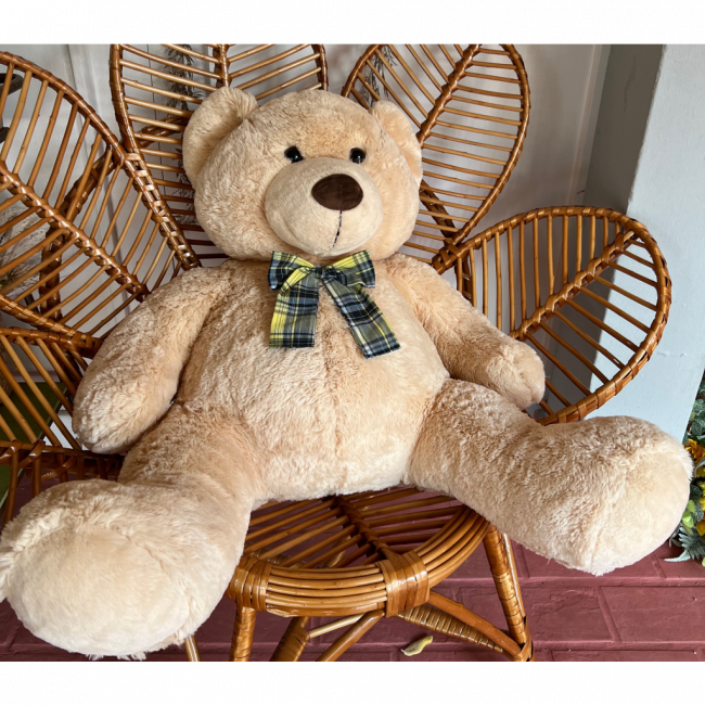URSO MEDIO