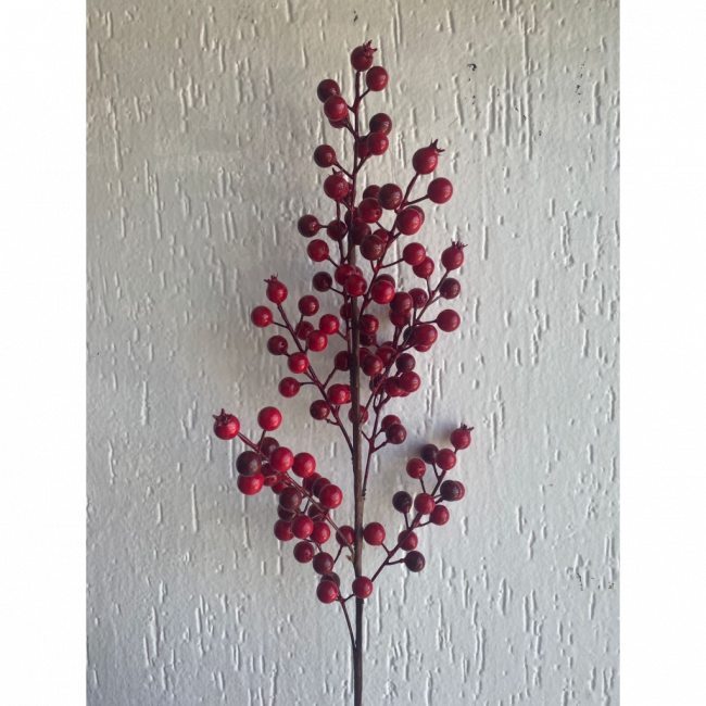 Galho berry