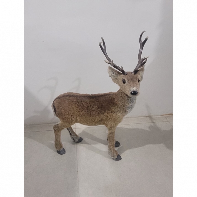 Rena 58 cm