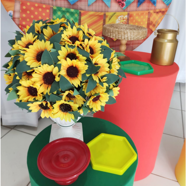 BOX 276 (FESTA JUNINA)
