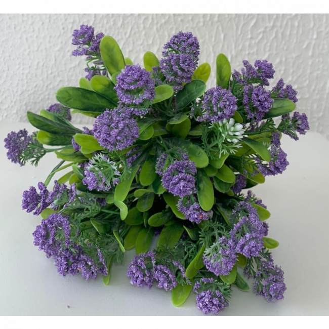 Lavanda