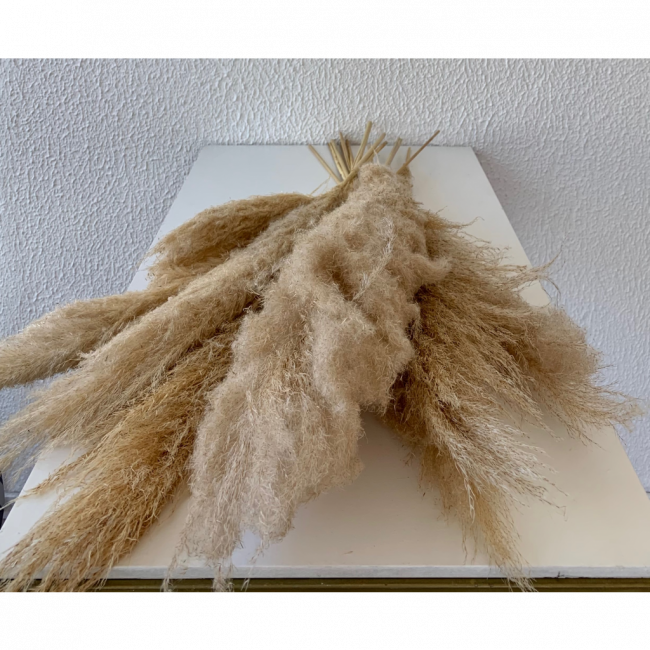 Pampas