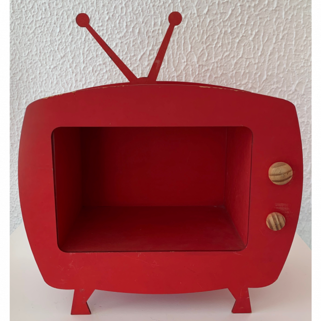 Televisão