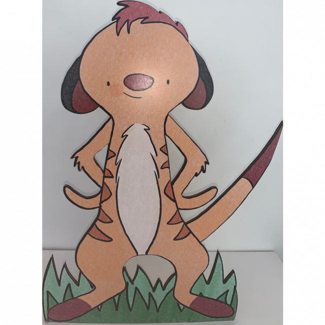 Display Timão