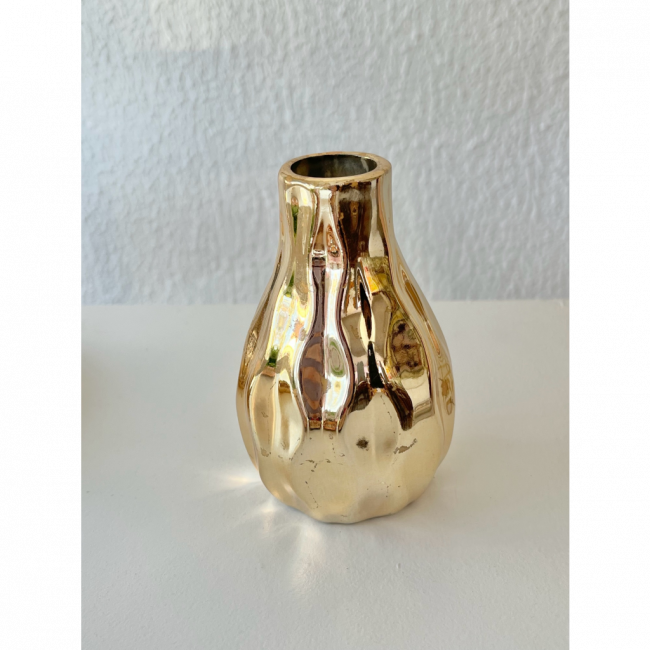 Vasinho 3D