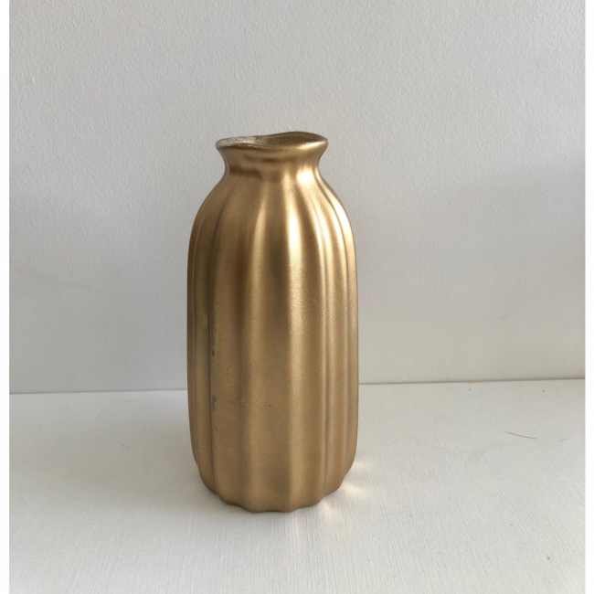 Vasinho 3D