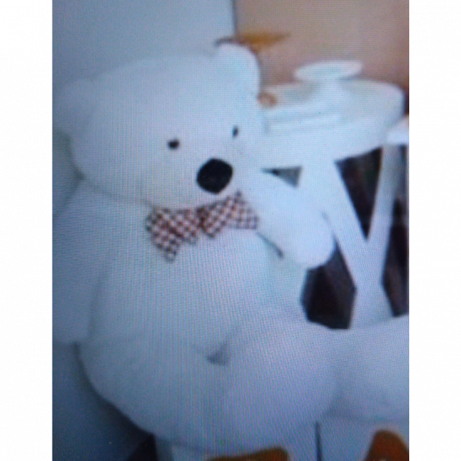 Urso giga