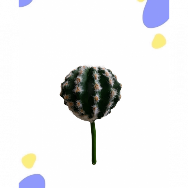 CACTO BOLA