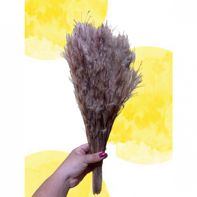 PLUMA