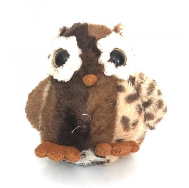 Coruja
