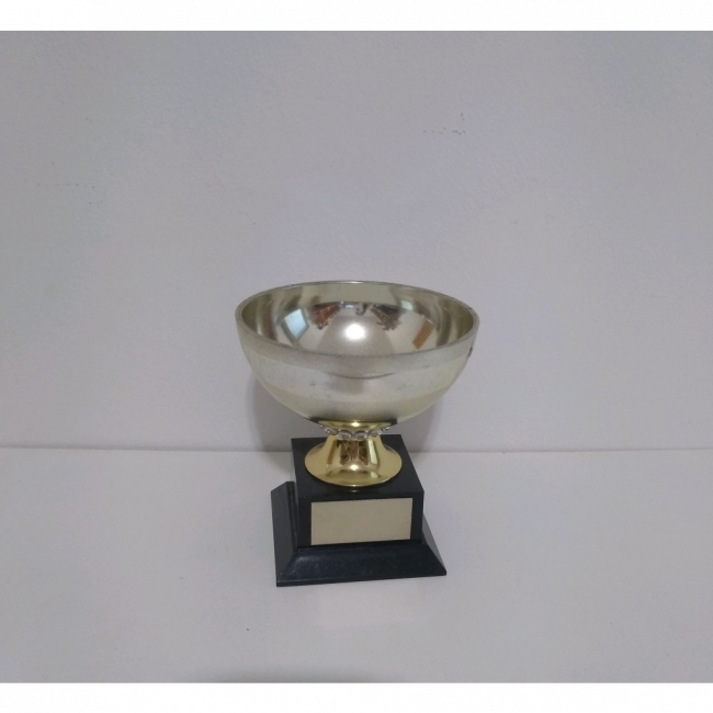 troféu taça