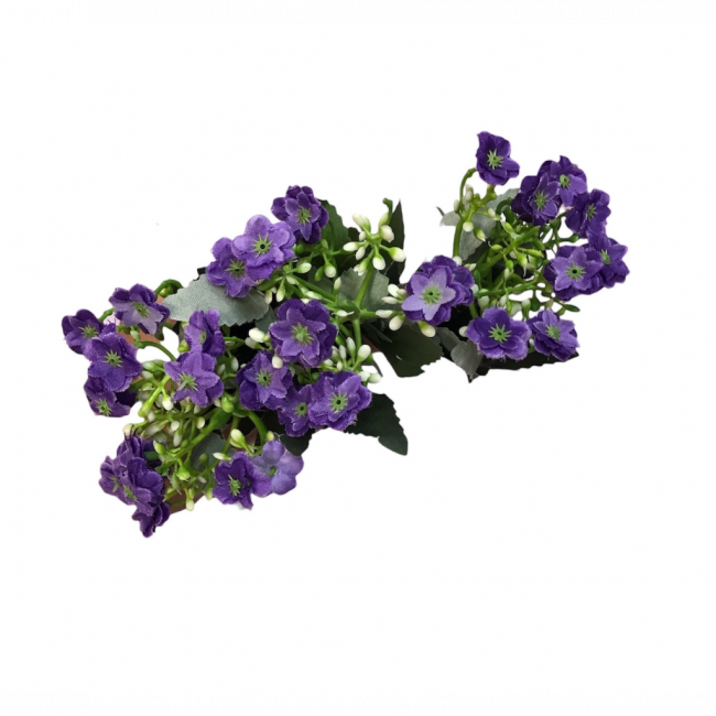 FLOR LILAS