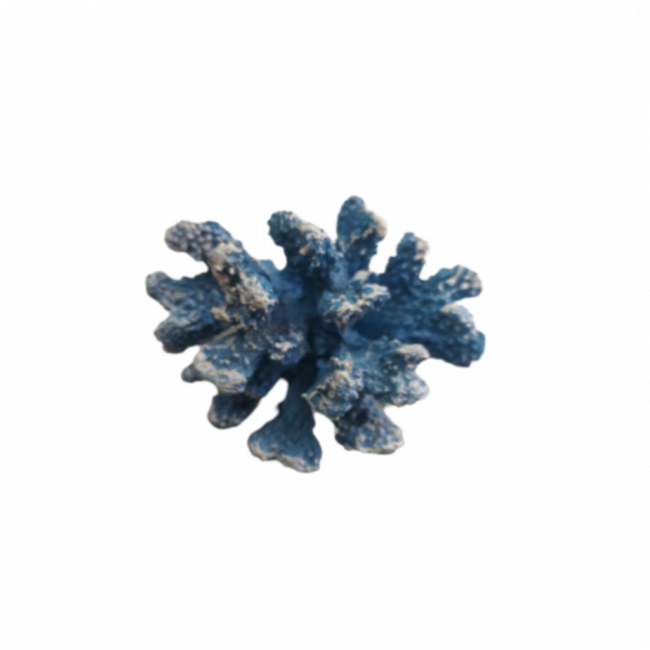 Coral azul
