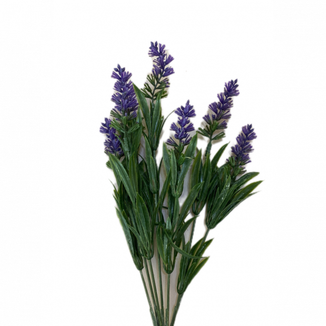 Flor roxa