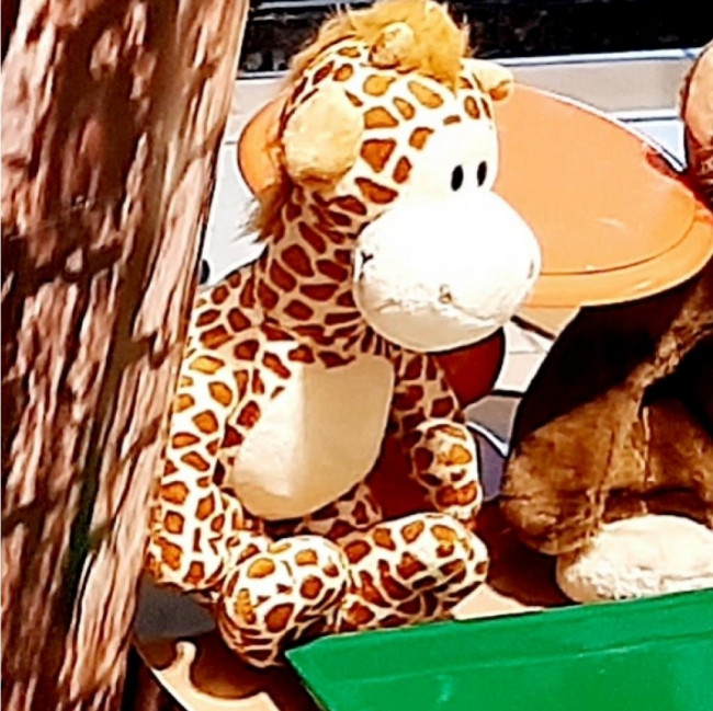 Girafa