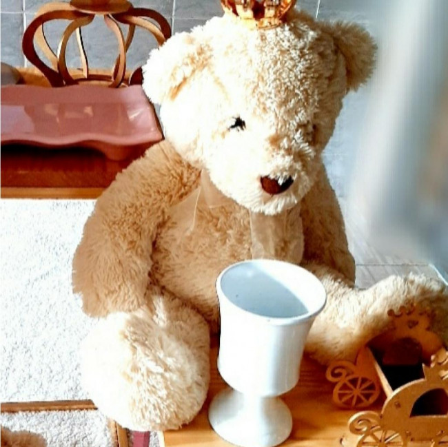 Urso branco
