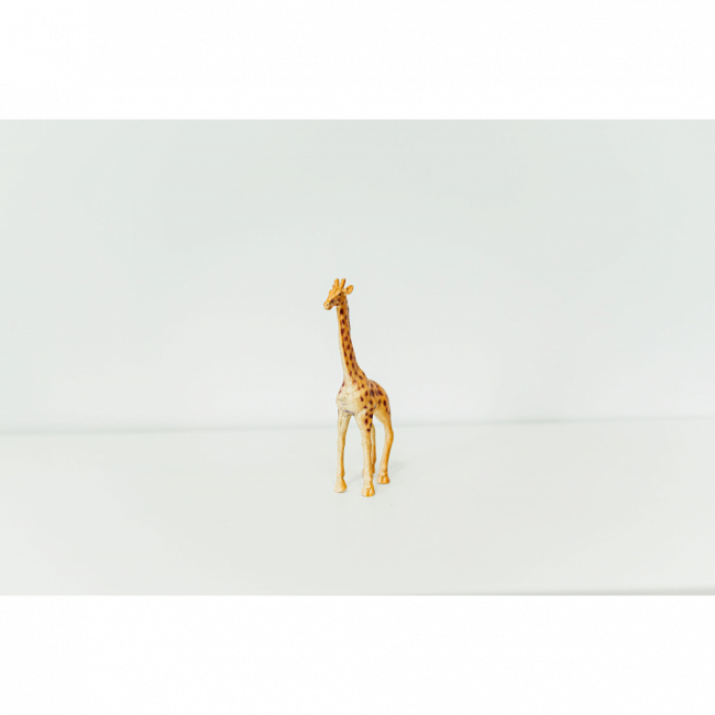 GIRAFA PP