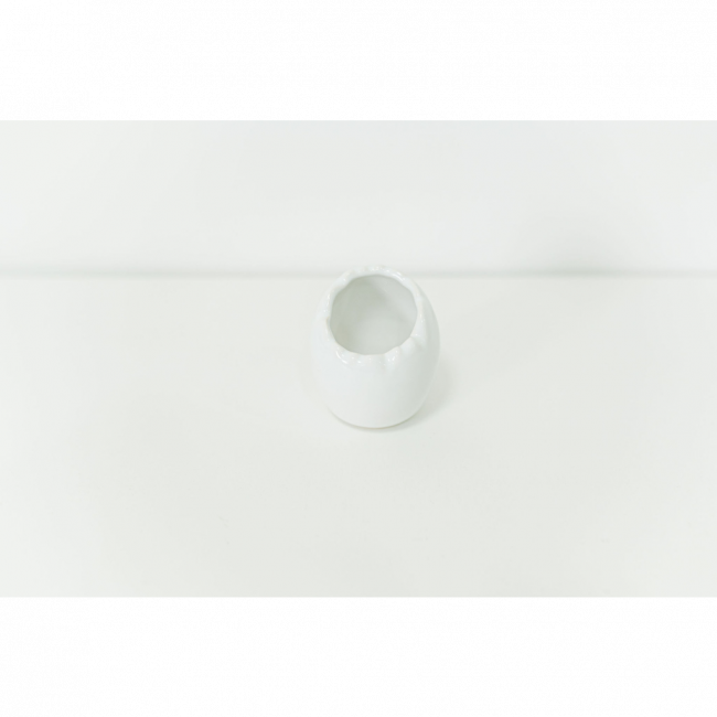 OVO BRANCO P