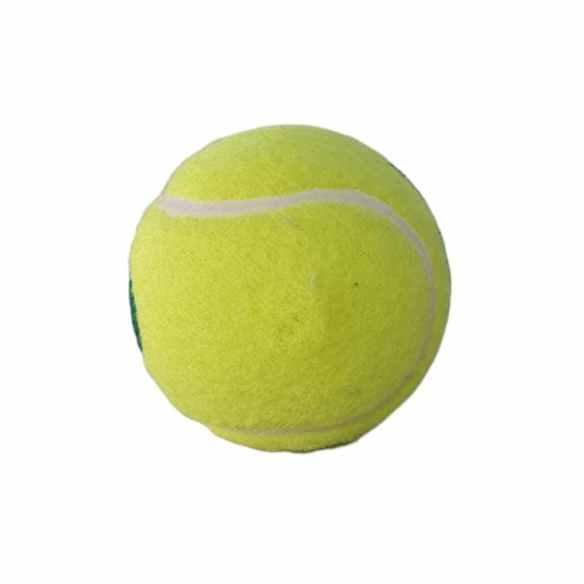 BOLA TENIS