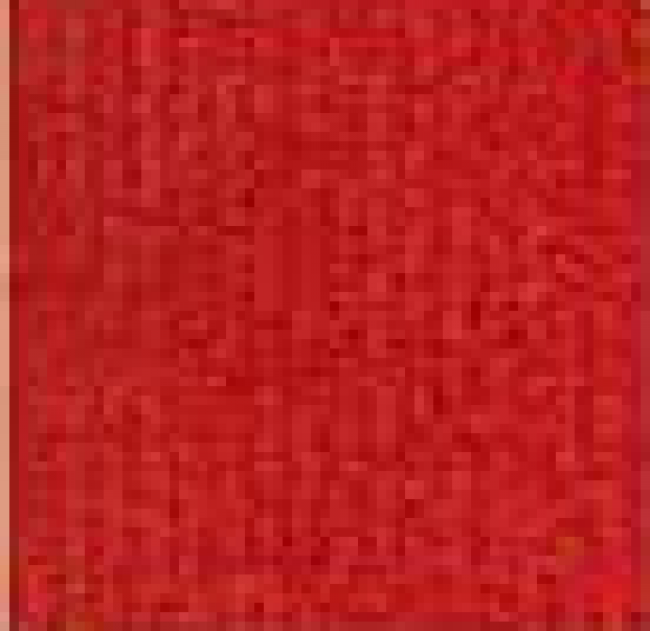 PASSADEIRA CARPETE LISBOA 3M X 1M X 4MM ALT - S/ APLICAÇÃO