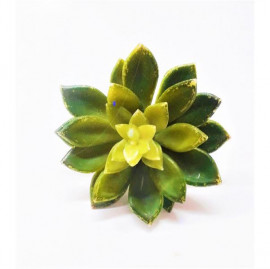 SUCULENTA M