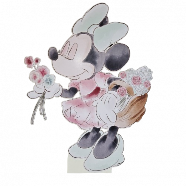 Aplique Minnie no Jardim