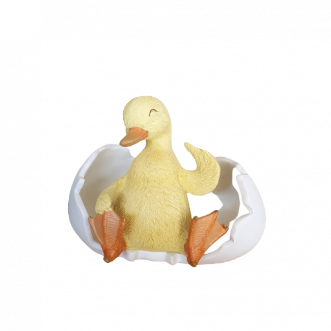 Patinho OPS