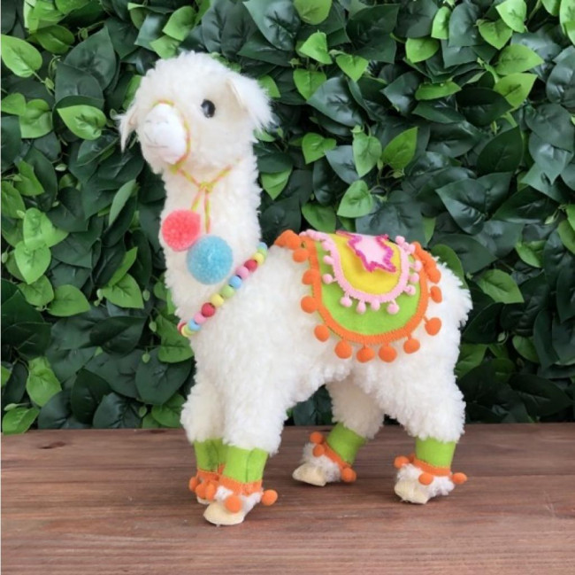 Lhama P - (Pompom)