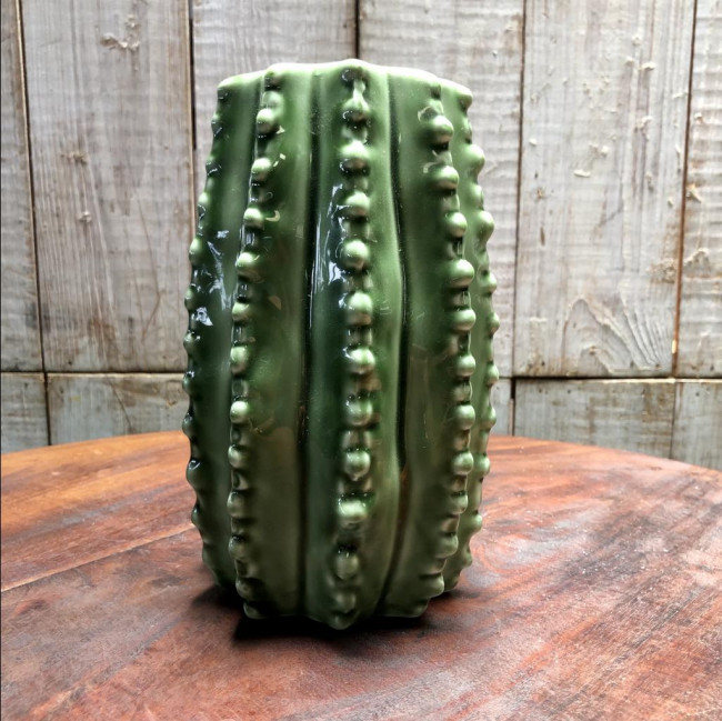 Vaso Cacto