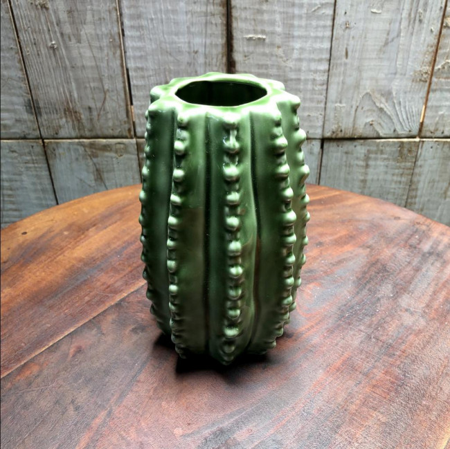 Vaso Cacto
