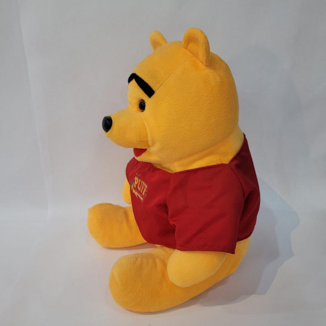 PELUCIA URSINHO POOH P