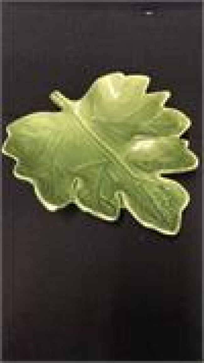 FOLHA VERDE GRANDE
