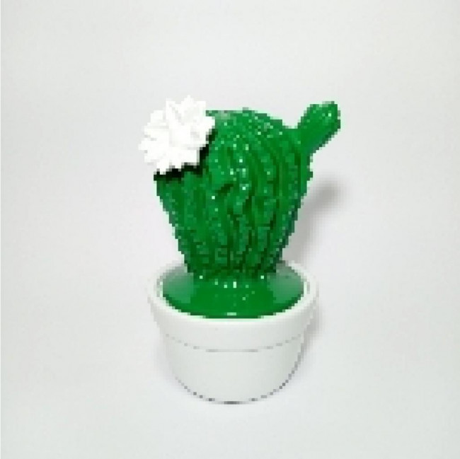 Cacto Flor