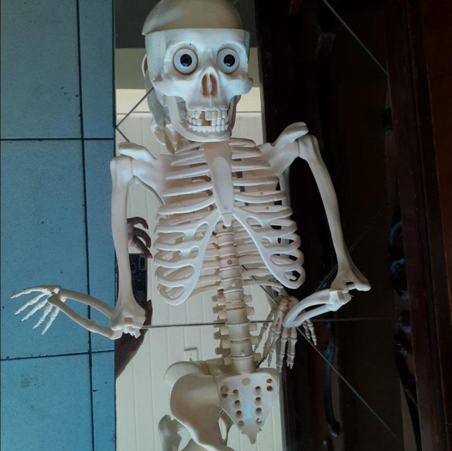 Esqueleto