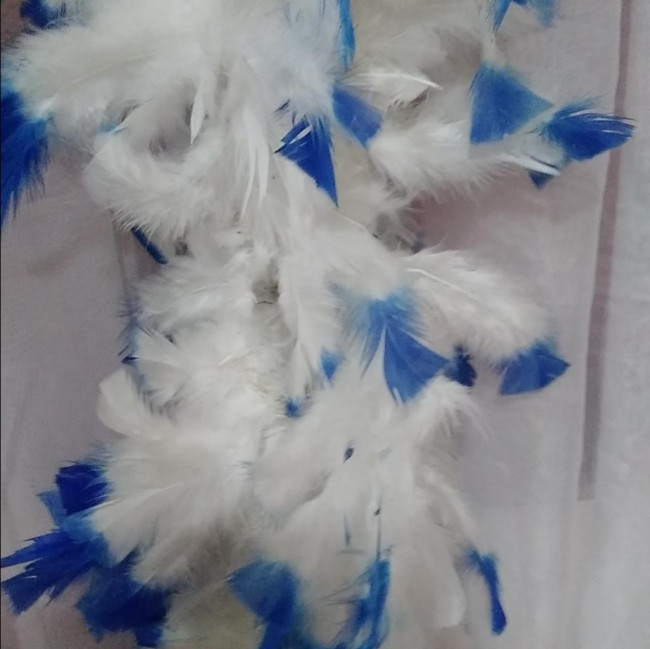 Pluma