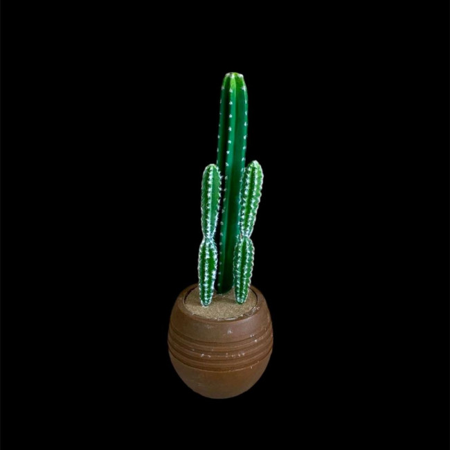 VASO CACTO