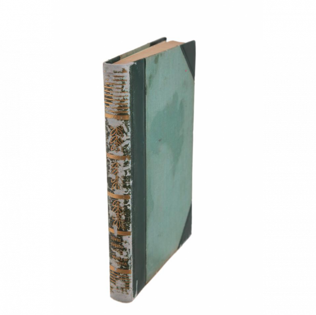 LIVRO VERDE CÉUS E TERRAS DO BRASIL (C 16 CM | L 3 CM | A 23 CM)