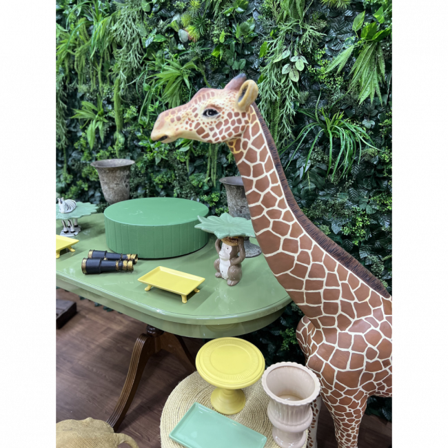 SET SAFARI