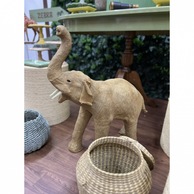SET SAFARI