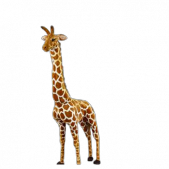 Girafa